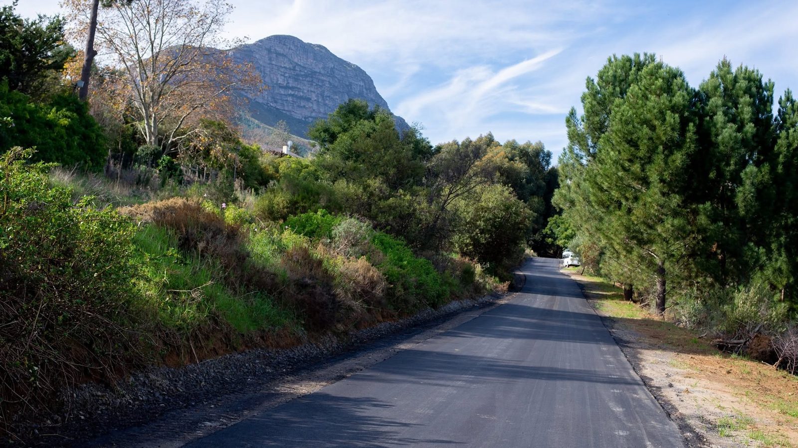 A quiet campus road curving toward the Helderberg mountain