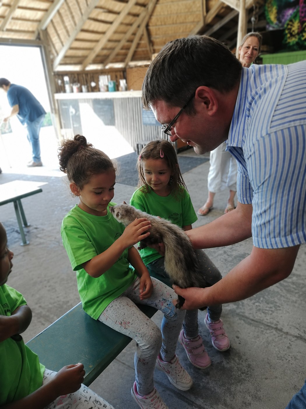 Stroking a ferret — softer than anyone expected