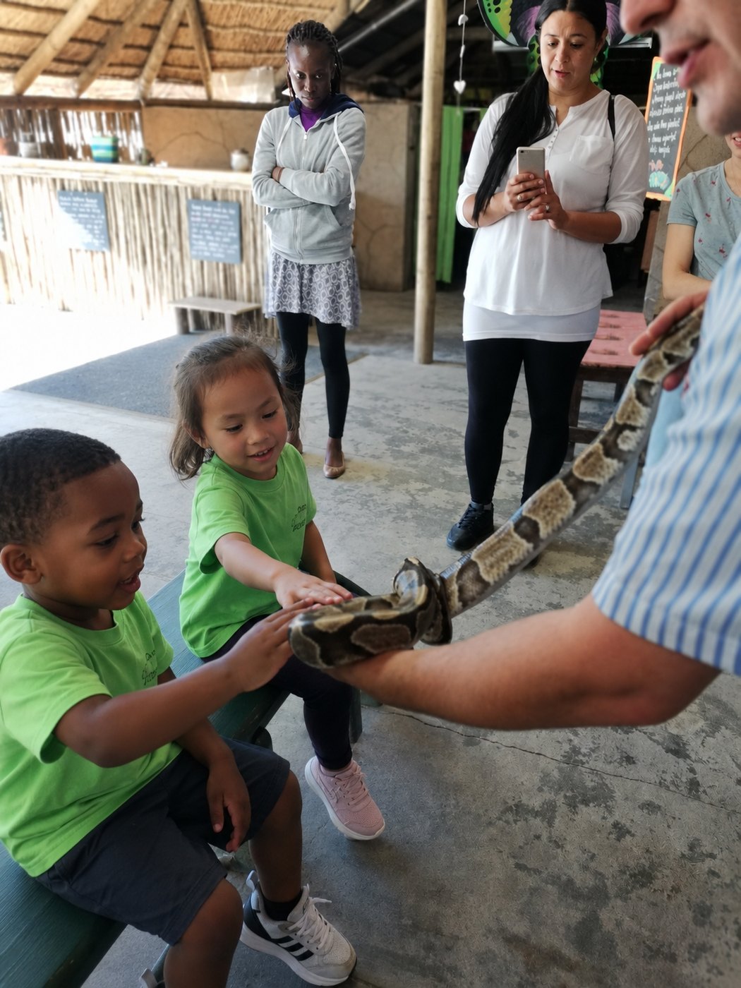 Reaching out together to touch the python